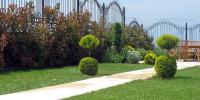 img/projects/orhan-acar-evi/Yaban Cicekleri Orhan Acar Evi 01.jpg