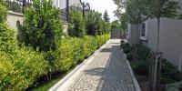 img/projects/orhan-acar-evi/Yaban Cicekleri Orhan Acar Evi 18.jpg